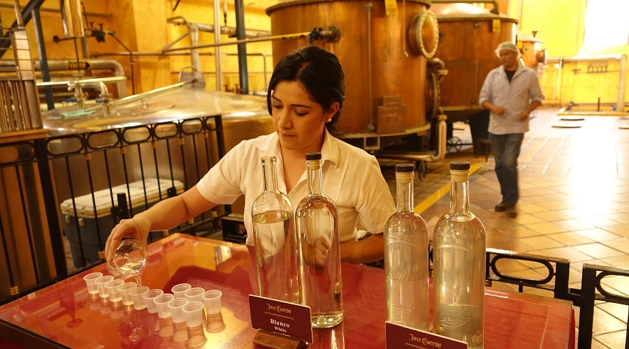 MEX-TEQUILERA-OPERANDOVIAJESYTURISMO