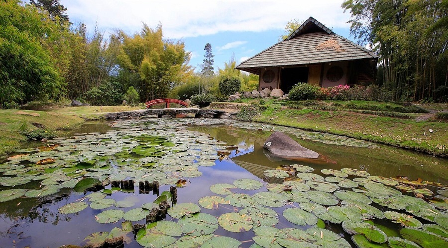 SJO-VOLCÁN IRAZÚ-OPERANDOVIAJESYTURISMO