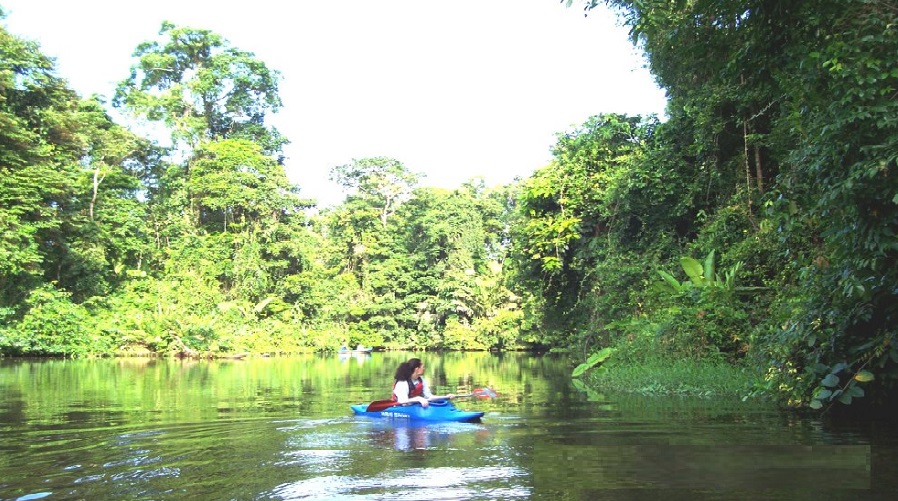 SJO-LACHA EN TORTUGERO-OPERANDOVIAJESYTURMOSLTDA