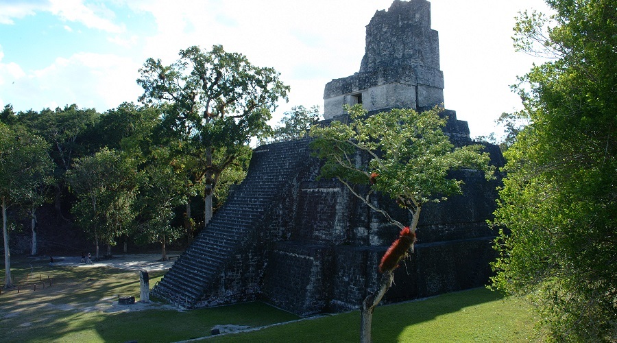 GUATEMALA-TIKAL-OPERANDOVIAJESYTURISMO