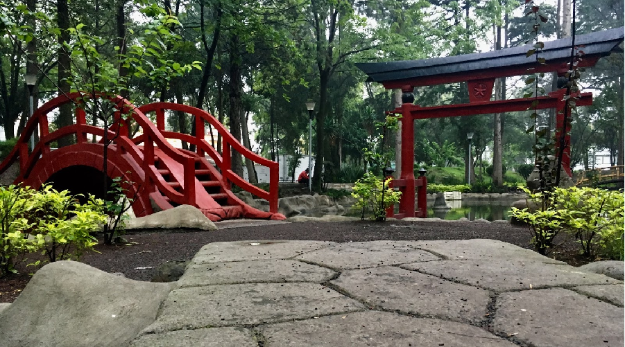MEX-COYOACÁN-OPERANDOVIAJESYTURISMO