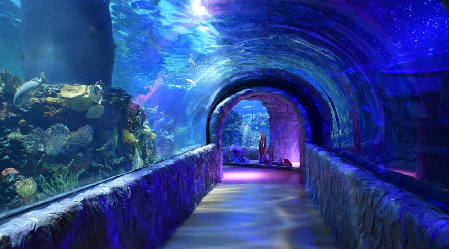 MEX-ACUARIO IMBURSA-OPERANDOVIAJESYTURISMO
