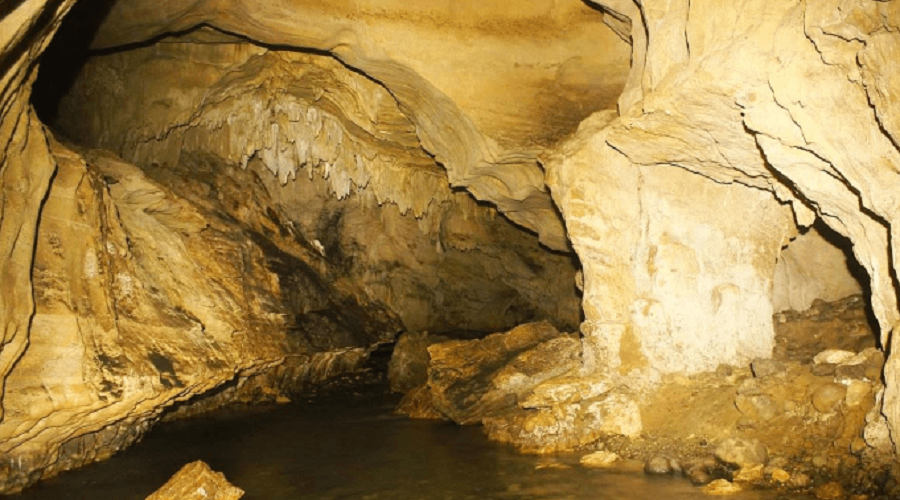 SJO-CAVERNA DEL VENADO-OPERANDOVIAJESYTURISMO