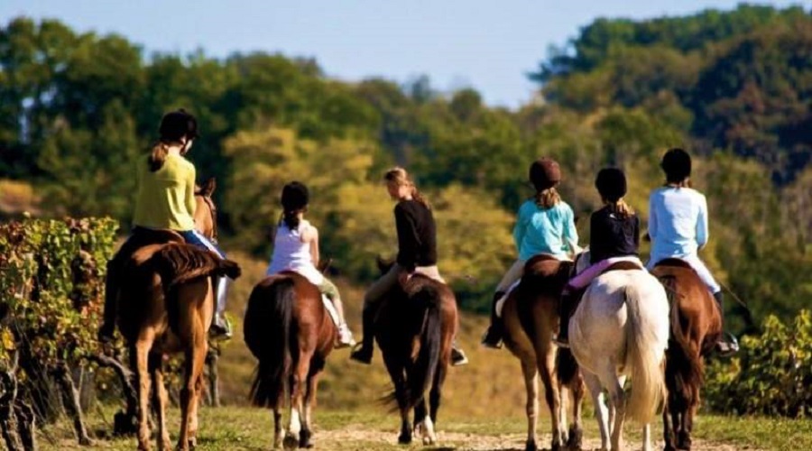 SJO-ADRENALINA-OPERANDOVIAJESYTURISMO