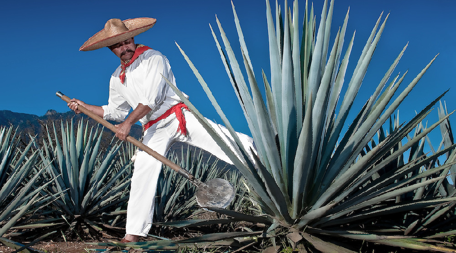 MEX-TEQUILERA-OPERANDOVIAJESYTURISMO
