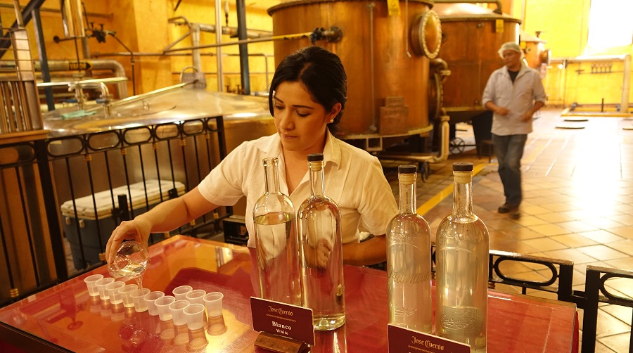 MÉXICO-TEQUILERIA-OPERANDOVIAJESYTURISMO