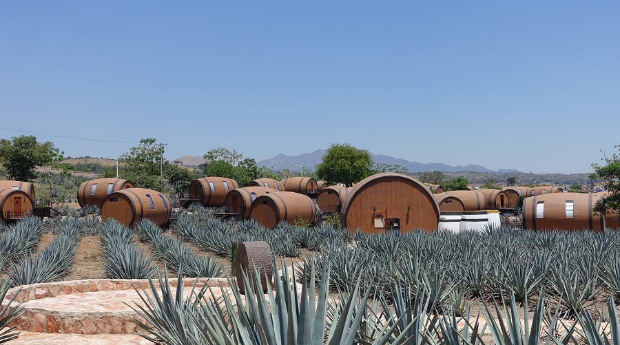 MÉXICO-TEQUILERIA-OPERANDOVIAJESYTURISMO