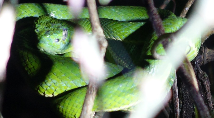 SJO-ARENAL-OPERANDOVIAJESYTURISMO