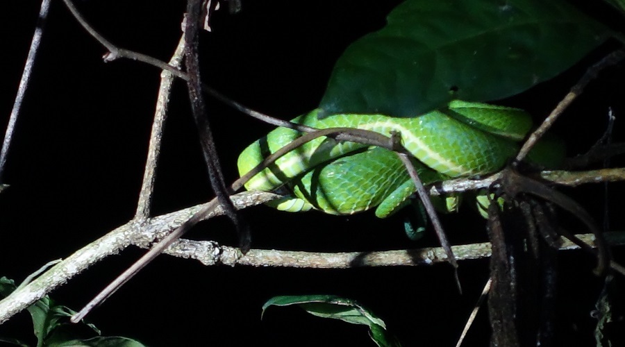 SJO-ARENAL-OPERANDOVIAJESYTURISMO
