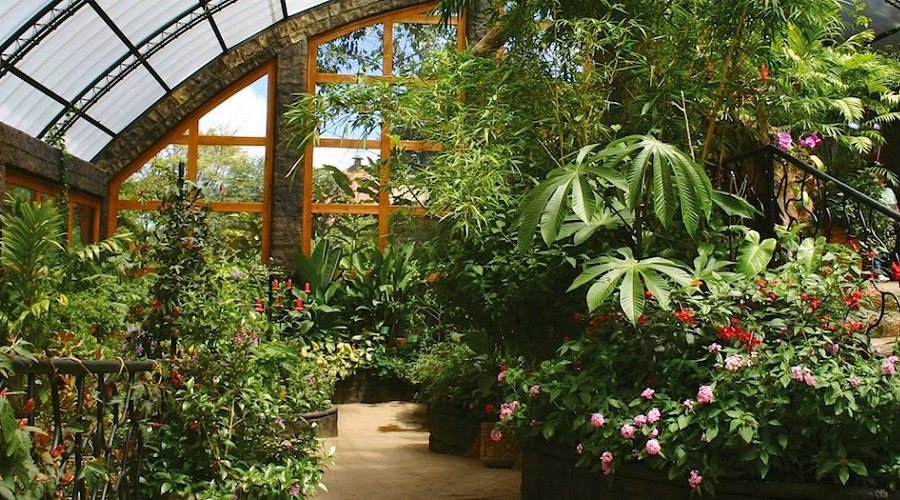 SJO-LAPAZ-OPERANDOVIAJESYTURISMO