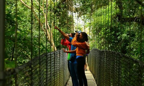 SJO-PUENTES COLGANTES-OPERANDOVIAJESYTURISMO