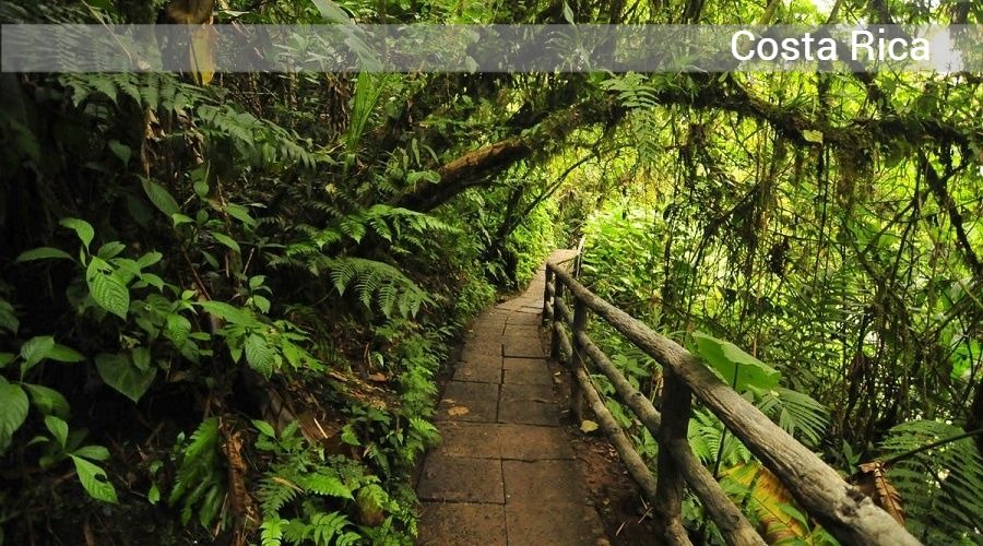 SJO-PUENTESCOLGANTES-OPERANDOVIAJESYTURISMO