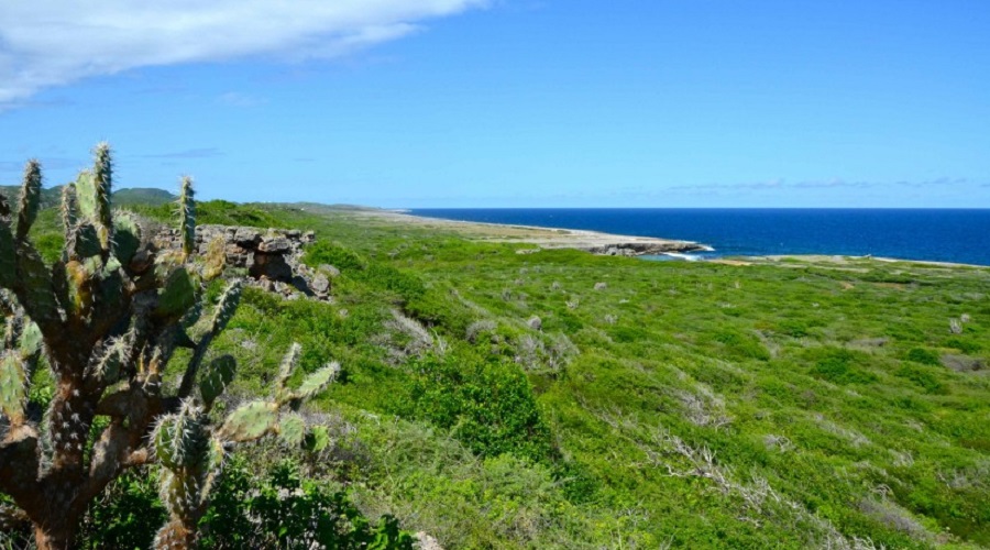 CUR-CURACAO-OPERANDOVIAJESYTURISMO